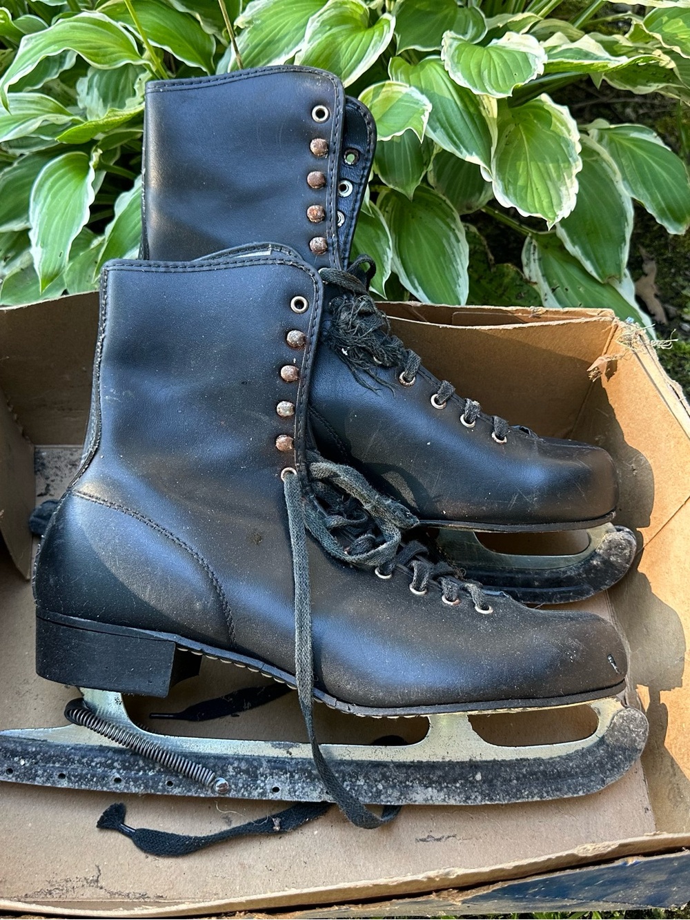 Classic Black Men’s Ice Skates
